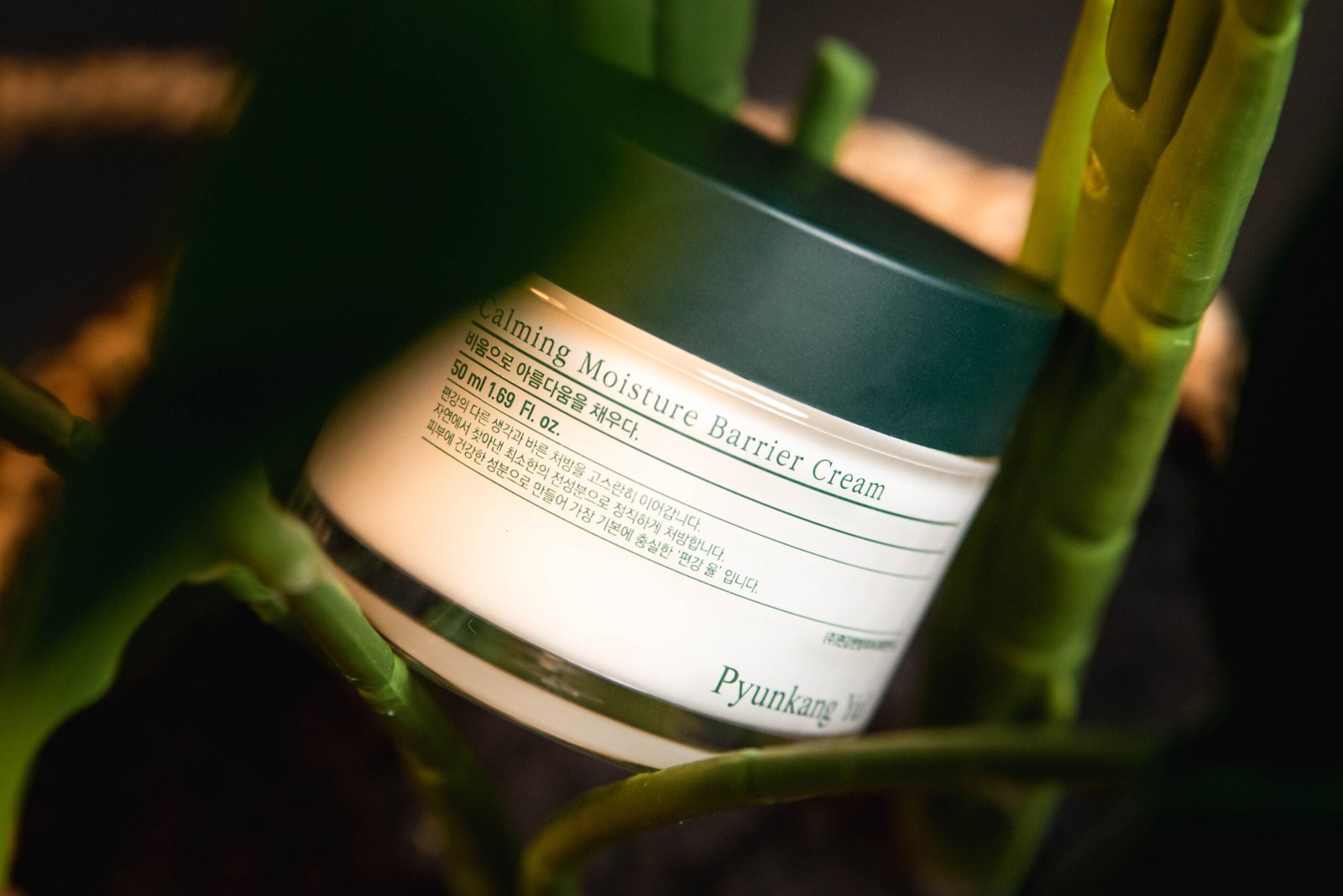 Pyunkang Yul skincare cream bottle surrounded by green leaves.